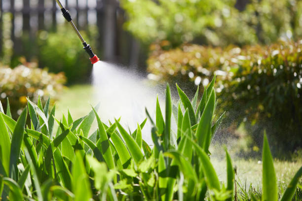 24/7 Emergency Cockroach Control experts in Nocona, TX